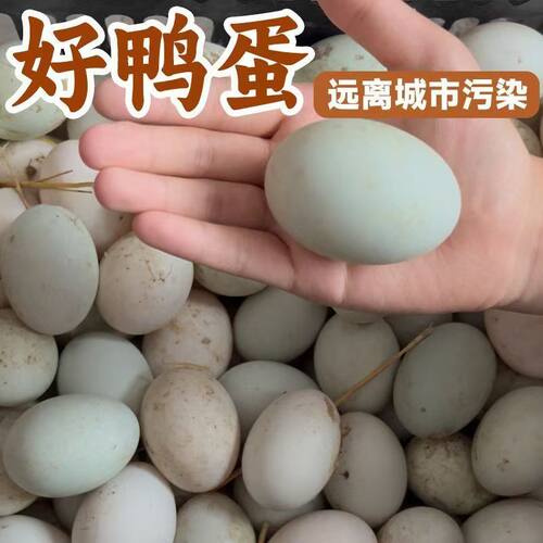 正宗农家散养生鸭蛋新鲜鸭蛋绿色食品土鸭蛋农家鸭蛋30枚整箱批发