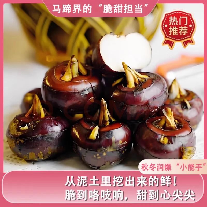 安徽特产现挖水晶马蹄