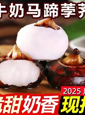 农家现挖水晶牛奶马蹄地栗新鲜蔬菜荸荠水果三斤五斤农家自种批发