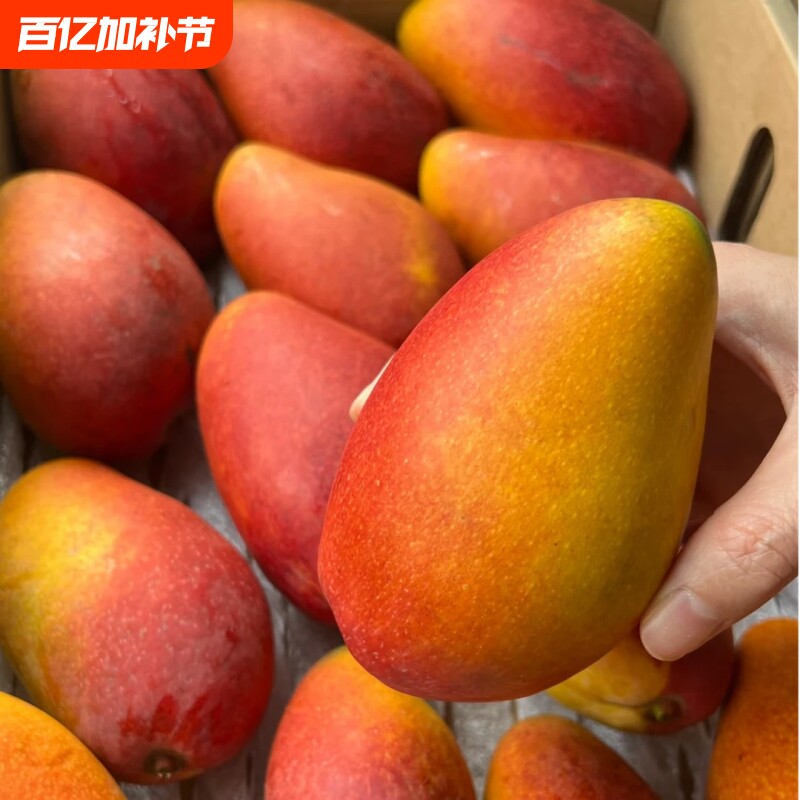海南贵妃芒新鲜芒果彩虹芒现摘现发果肉饱满爆汁无丝香甜可口包邮