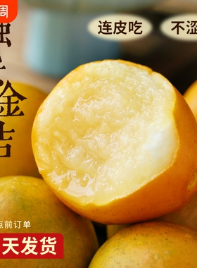 广西融安脆皮小金桔10新鲜桔子当季水果纯甜孕妇整箱5斤生鲜热带