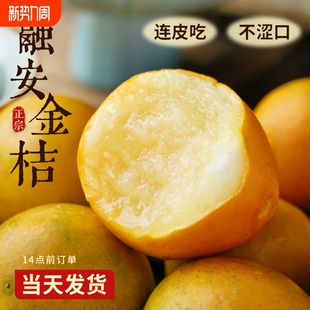 广西融安脆皮小金桔10新鲜桔子当季水果纯甜孕妇整箱5斤生鲜热带