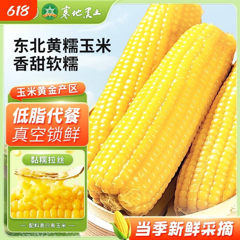 七稻町东北黄糯玉米新鲜甜糯玉米棒香甜玉米大棒代餐低脂真空软糯