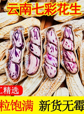 七彩花生云南特产带壳七彩花生米2025新货生熟水煮咸干五彩花生