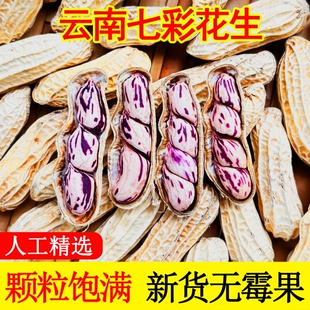 七彩花生云南特产带壳七彩花生米2025新货生熟水煮咸干五彩花生