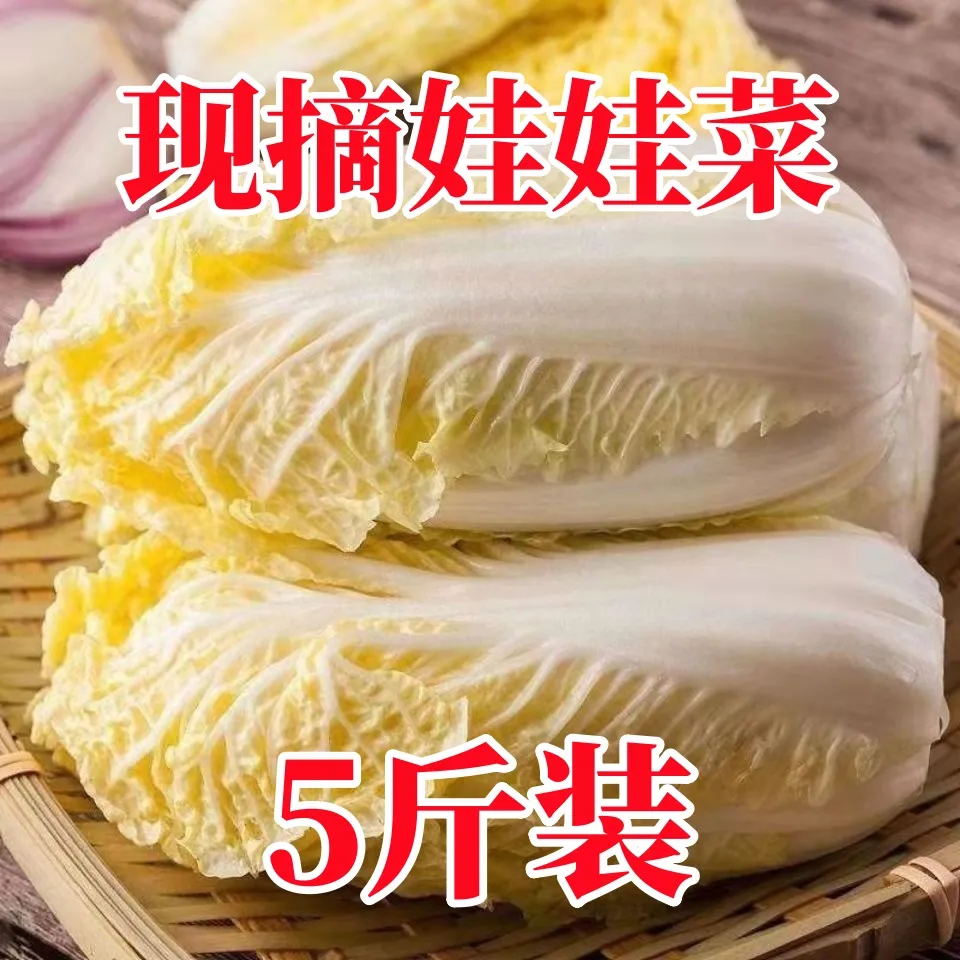 5斤云南高山娃娃菜新鲜现砍脆嫩小白菜黄心娃娃菜高原露天蔬菜,水产肉类/新鲜蔬果/熟食,叶菜类,淘宝优惠券,粉丝福利购,淘宝优惠卷