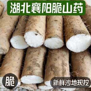 襄阳清炒脆山药新鲜粗大山药菜山药新鲜现挖九斤黄山药非铁棍山药