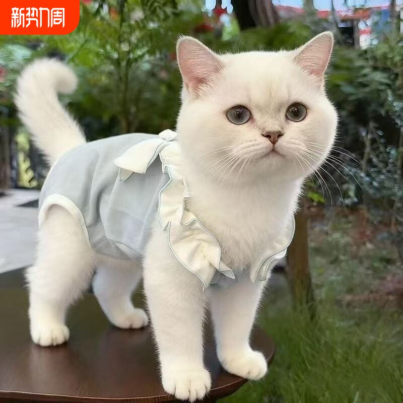 宠物秋季猫咪护肚衣小型犬幼犬睡衣泰迪四脚衣服绝育服薄款粉色