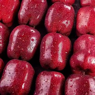 到家 包邮 甘肃天水花牛苹果新鲜水果当季 粉面苹果整箱