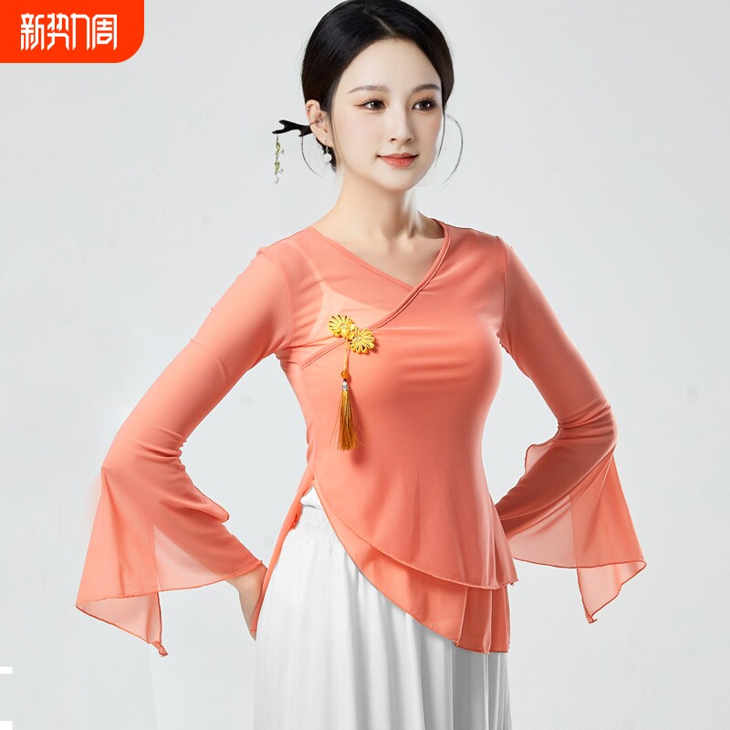 古典舞舞蹈服飘逸女纱衣身韵练功服演出服艺考中国风仙女基训上衣