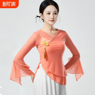 古典舞舞蹈服飘逸女纱衣身韵练功服演出服艺考中国风仙女基训上衣