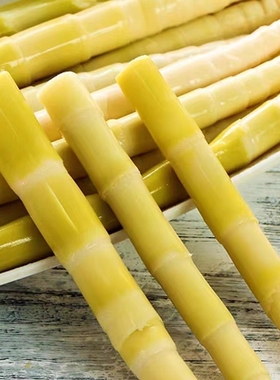 新鲜笋野生小竹笋小春笋清水笋嫩笋尖火锅笋鲜笋高山嫩竹笋袋装笋