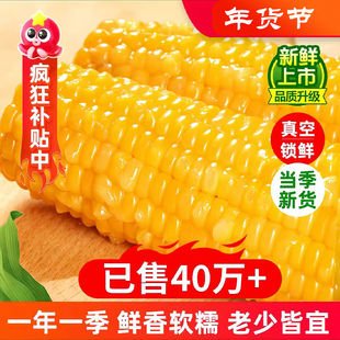 寒地粗粮东北正宗黑土地玉米新鲜大棒软糯香甜饱腹代餐低脂真空装