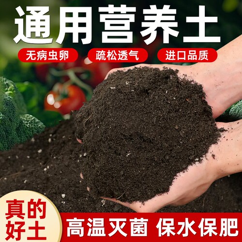 营养土通用专用型家用盆栽种菜土花土种花养花土壤种植土泥土疏松