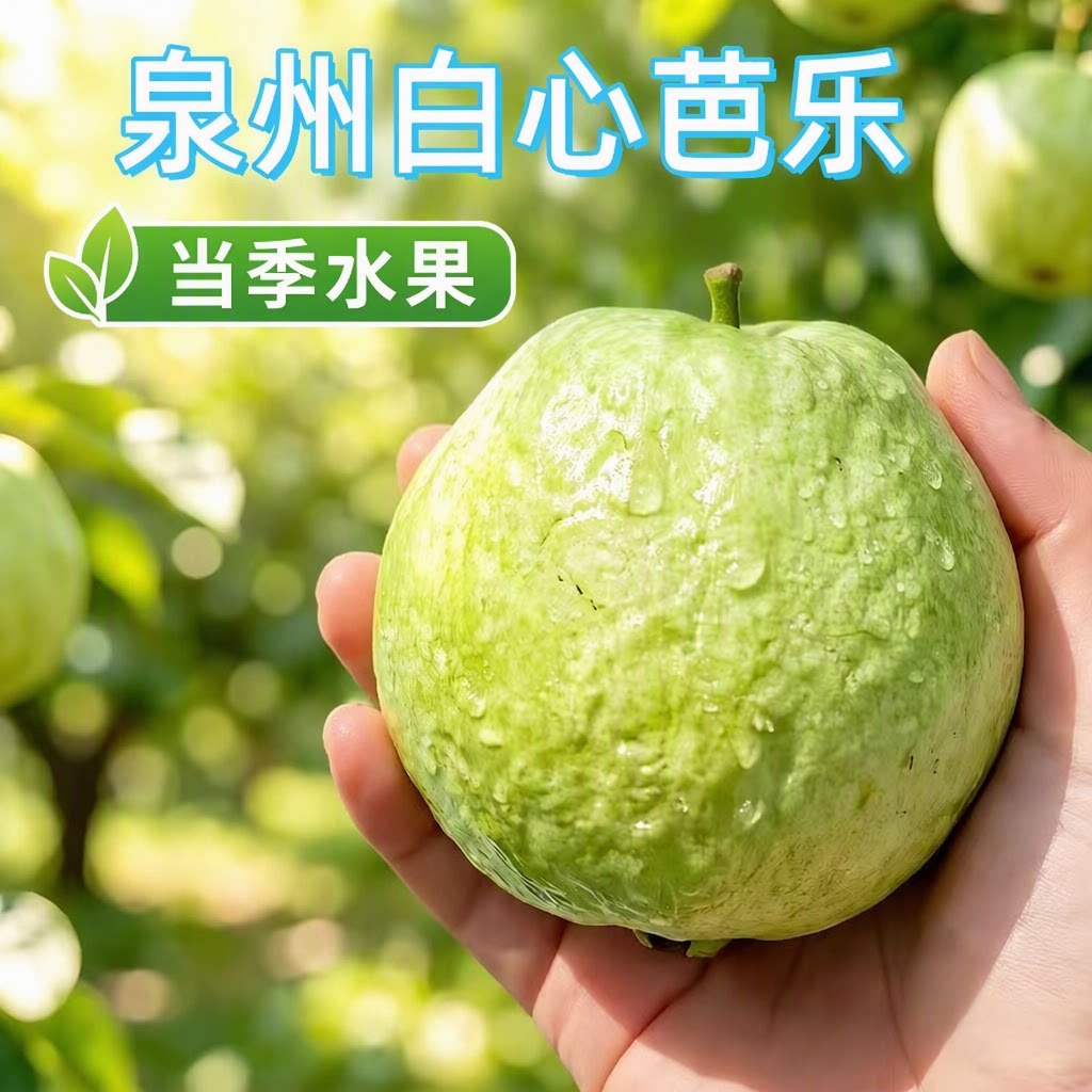福建珍珠芭乐白心芭乐番石榴硬脆甜低脂低糖产地直发现摘应季水果