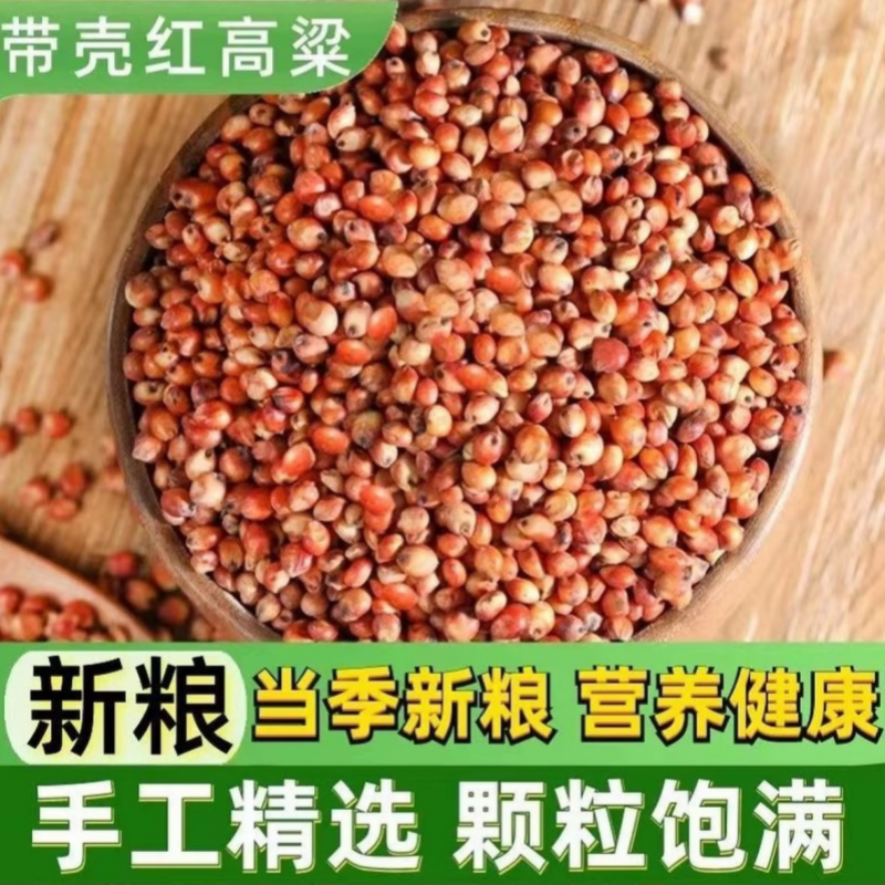 糯高粱酿酒用脱壳高粱贵州红缨子糯高粱5kg高粱米红高梁脱皮高粱
