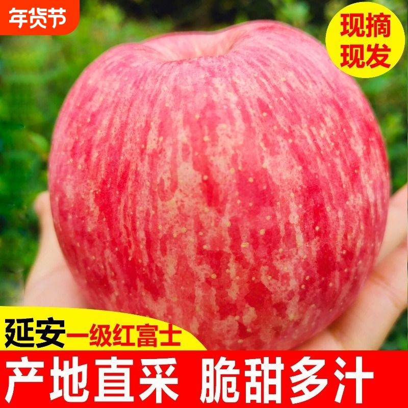 正宗陕西延安洛川苹果新鲜水果当季红富士非冰糖心整箱脆甜包邮,水产肉类/新鲜蔬果/熟食,苹果,淘宝优惠券,粉丝福利购,淘宝优惠卷