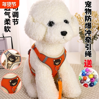 猫狗牵引绳下单送铃铛遛狗