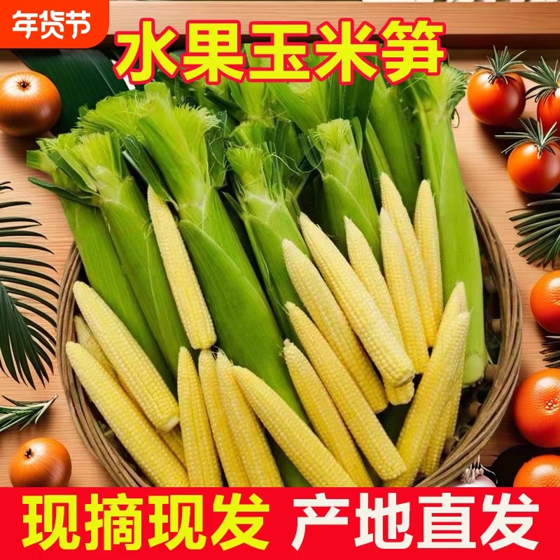 新鲜玉米笋现摘新鲜水果玉米笋苞谷玉米芯带皮带须麻辣烫火锅炒菜,水产肉类/新鲜蔬果/熟食,新鲜玉米,淘宝优惠券,粉丝福利购,淘宝优惠卷