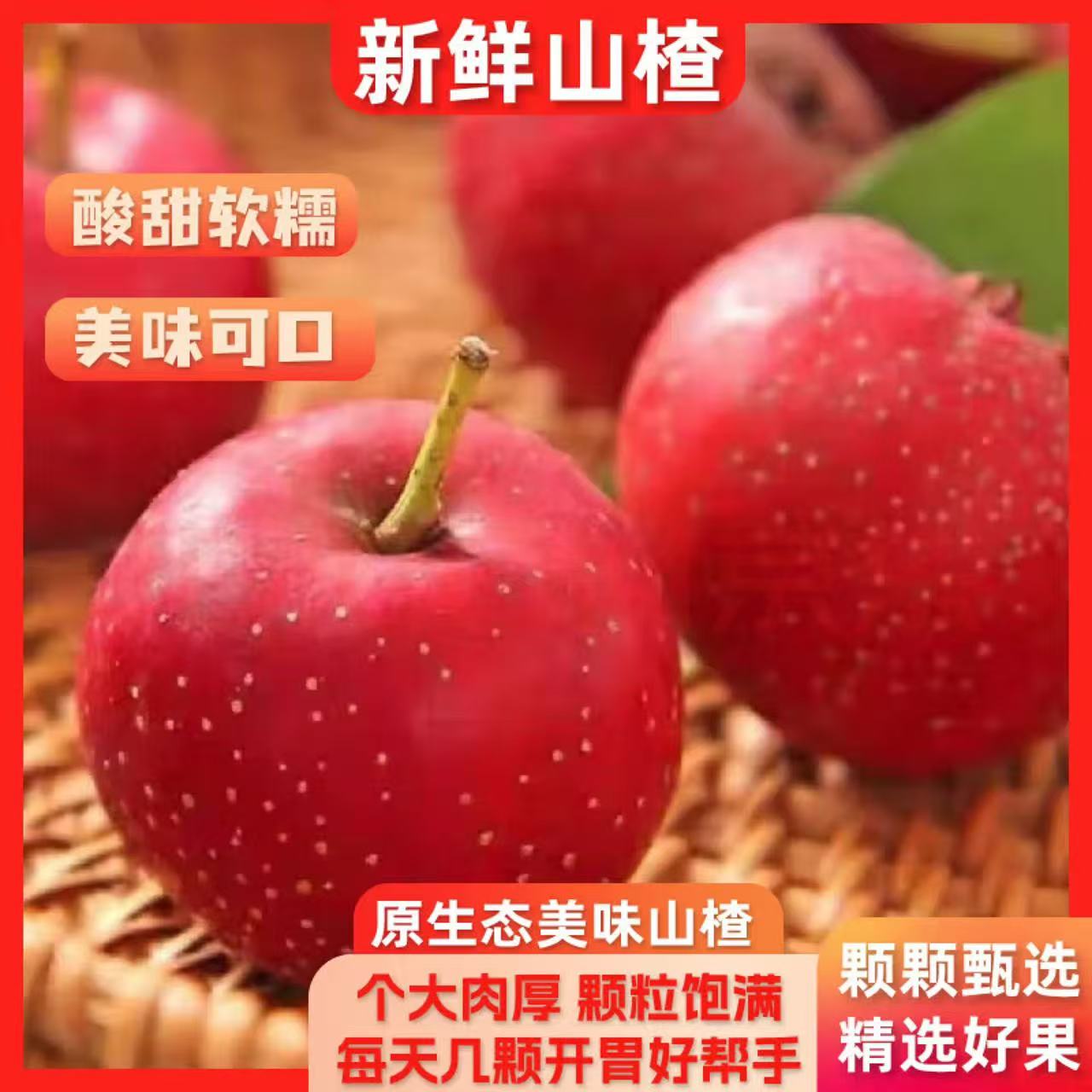 新鲜山楂果大山楂鲜果金星鲜山楂大果山里红冰糖葫芦用现摘生山楂