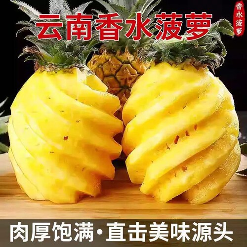 正宗现摘云南香水新鲜菠萝精选大果湛江香水菠萝青皮去味菠萝新的
