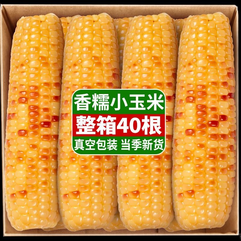 10斤云南西双版纳香糯小玉米棒新鲜即食早餐粗粮真空装包装袋代餐