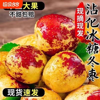现摘现发山东沾化冬枣新鲜多汁脆甜枣子大青枣包邮产地直发整箱