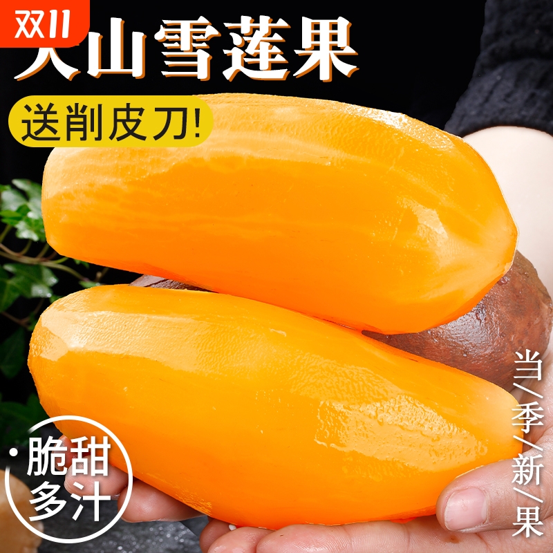 雪莲果新鲜水果黄心大果10当季整箱云南天山应季一红心特包邮级斤