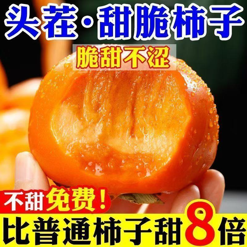 【批发价】正宗巧克力脆柿子新鲜水果应季脆甜软硬黄柿子无核脆柿
