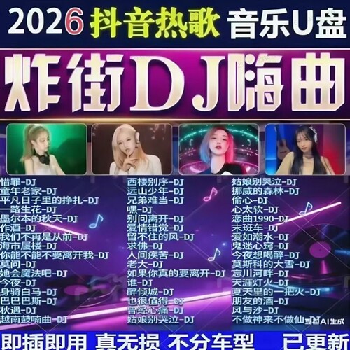 汽车专用音乐U盘柏林之声高音质