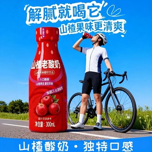 山咋酸奶300ml12瓶24瓶0脂早餐解腻下午茶便携郊游老酸奶风味饮料