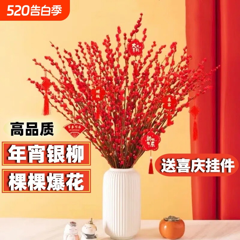 银柳真花鲜枝水培雪柳干花红梅花年宵花卉新年摆件装饰室内植物