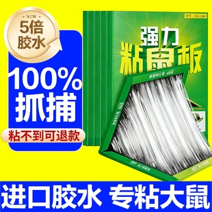 粘鼠板老鼠粘强力胶粘大老鼠贴家用正品 神器超强 扑捉器灭捕鼠爆款