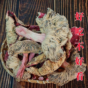 福建野生红菇干货开伞大红菇武夷山月子菇红椎菌野生菌无硫煲汤