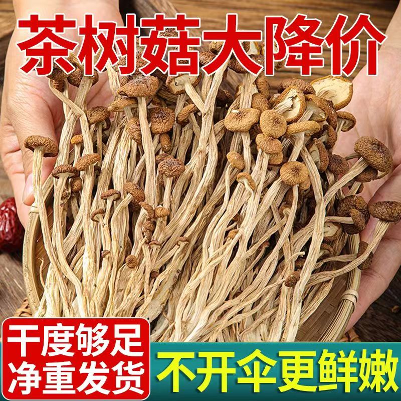 【不开伞茶树菇】菌菇干货香菇虫草花羊肚菌煲汤食材菌菇汤料包