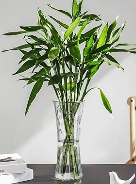 特大号玻璃花瓶透明水养富贵竹办公餐桌客厅家用插干花瓶装饰摆件