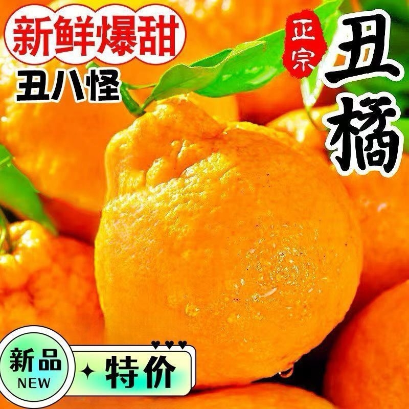 资中不知火四川丑橘新鲜水果丑八怪当季新鲜不知火手剥桔子