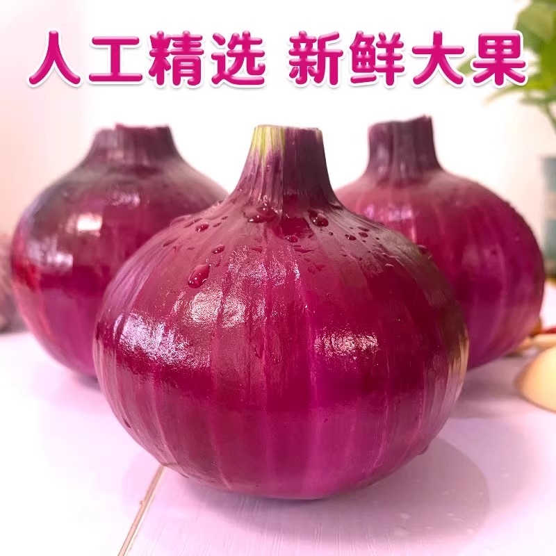 农家自种紫皮水果大洋葱新鲜小洋葱甜味生吃蔬菜不辣红皮大圆葱头