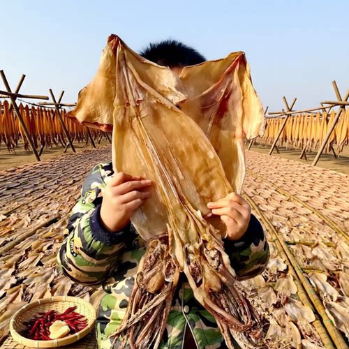 特大号鱿鱼干海鲜干货水发500g整只大尤鱼炒菜煲汤干鱿鱼淡干新鲜