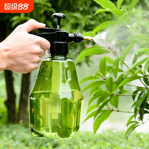 苍强手压喷壶浇花洒水喷雾