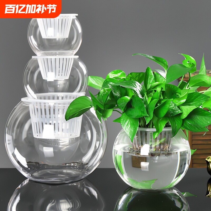 创意水培瓶植物透明玻璃花瓶花盆共养缸水养摆件器皿桌面极简吸水