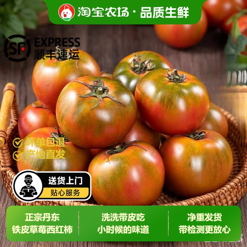 铁皮草莓柿子生吃水果顺丰包邮