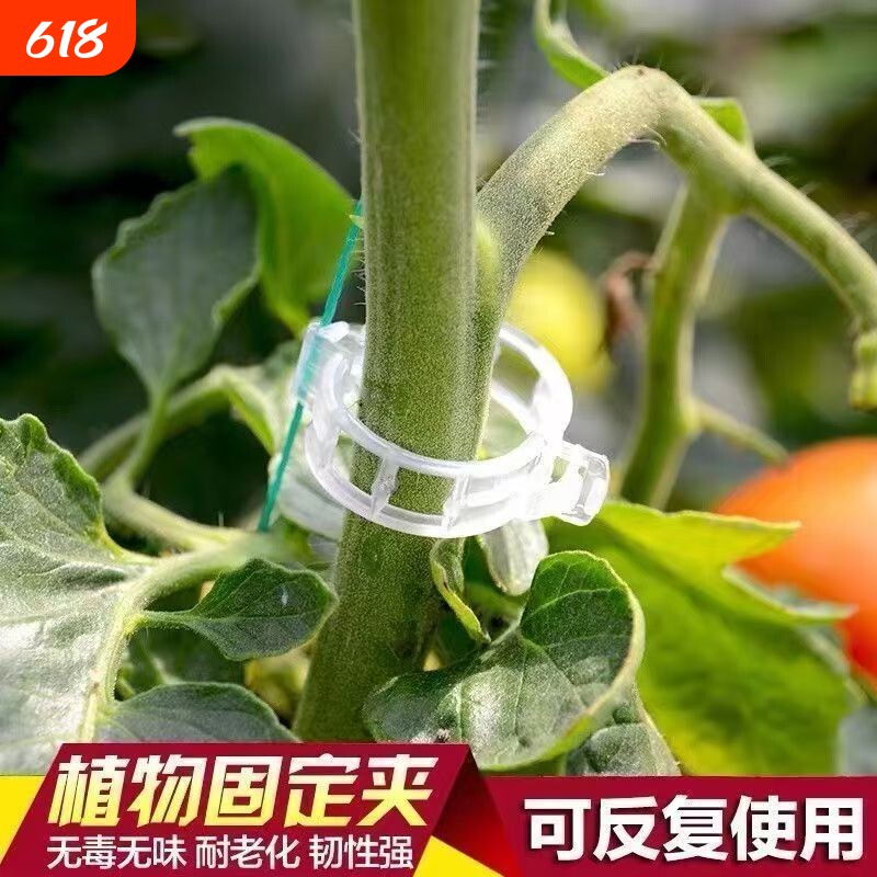 植物卡扣绑蔓夹瓜果蔬爬藤吊秧夹子黄瓜西红柿秧苗固定器藤蔓葡萄