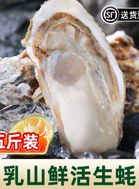 鲜活乳山生蚝5斤带箱牡蛎海蛎子特大海鲜批发商用大号品质蚝王