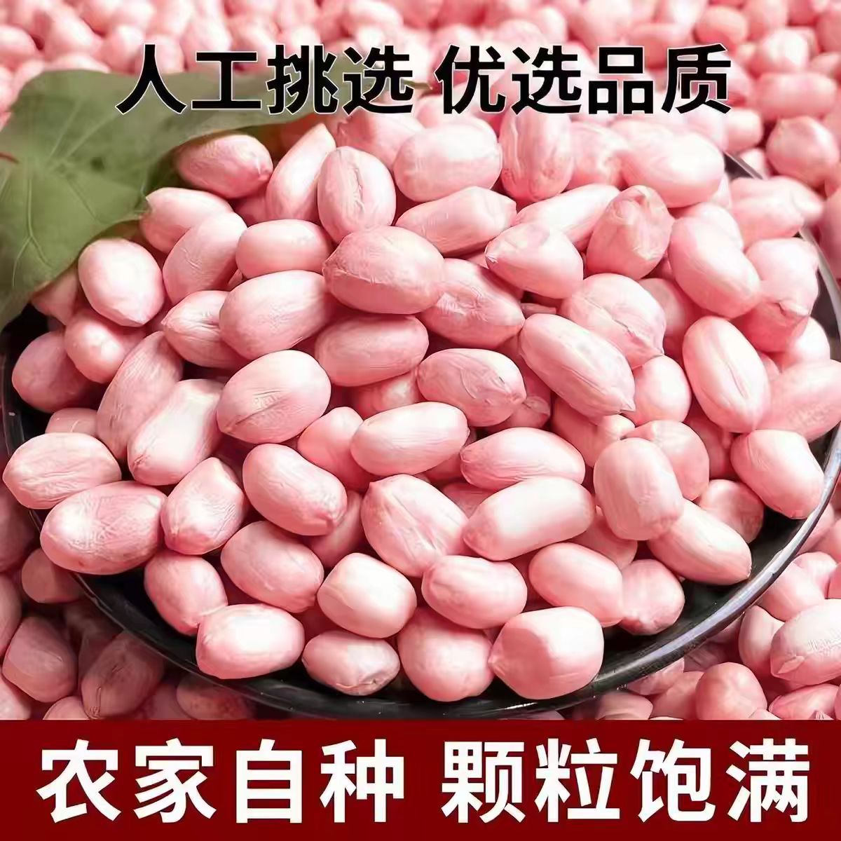 新鲜花生米颗粒生花生种子花生仁批发油炸新货新花生散装优选去壳图片