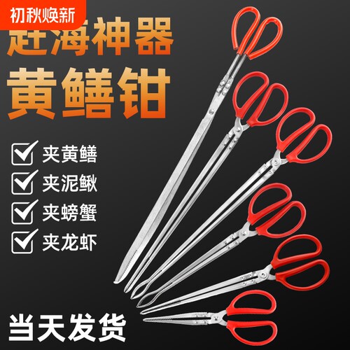 专业赶海夹子工具装备黄鳝夹子不锈钢防滑鳝鱼泥鳅抓螃蟹钳夹神器