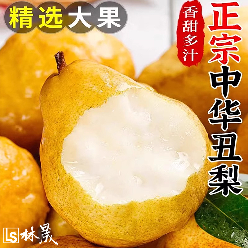 正宗山东烟台中华丑梨新鲜水果太婆梨啤梨软梨子整箱包邮产地直发