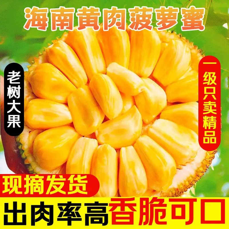 正宗海南菠萝蜜一整个新鲜水果包邮当季三亚干苞黄肉波罗密整箱,水产肉类/新鲜蔬果/熟食,菠萝蜜,淘宝优惠券,粉丝福利购,淘宝优惠卷