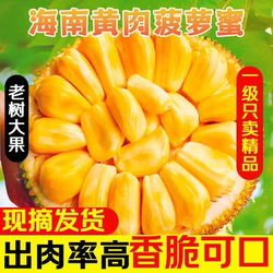 正宗海南菠萝蜜一整个新鲜水果包邮当季三亚干苞黄肉波罗密整箱