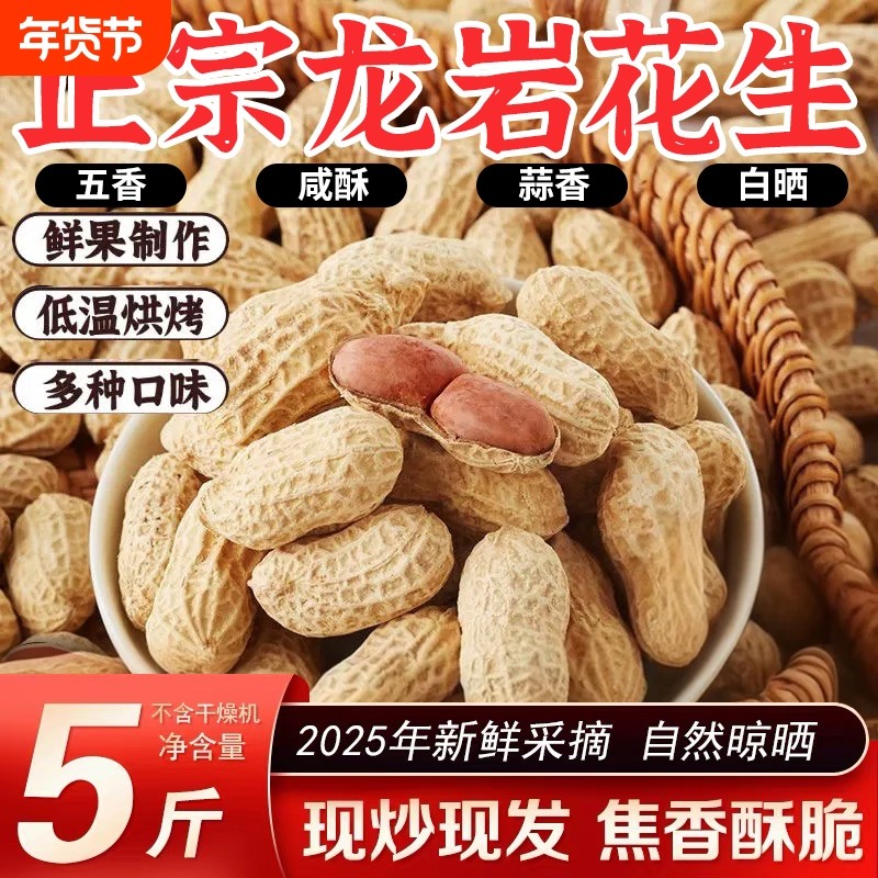 龙岩花生蒜香五香咸干盐水煮白晒下酒菜炒货坚果零食袋装年货休闲